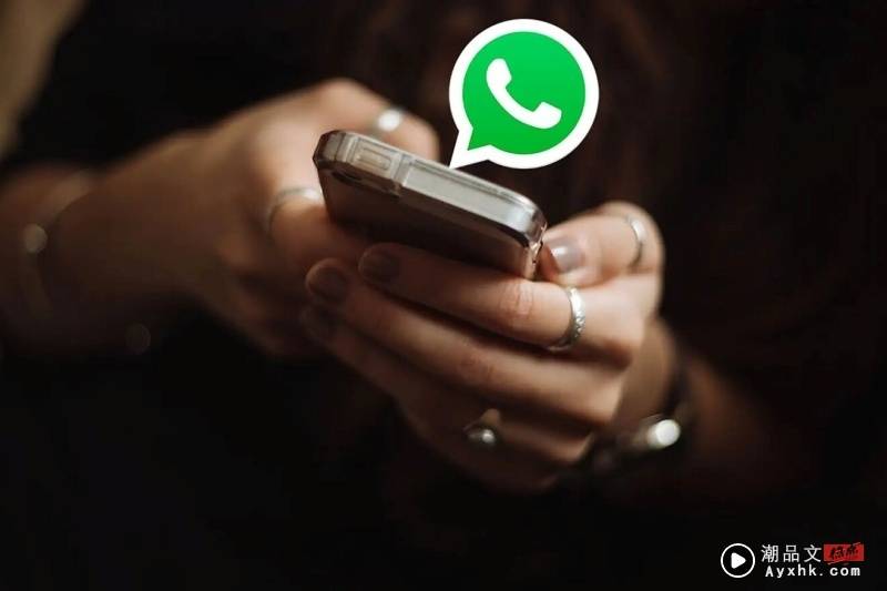 WhatsApp Leak User Number